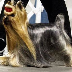 Meet your Posher, Vicki